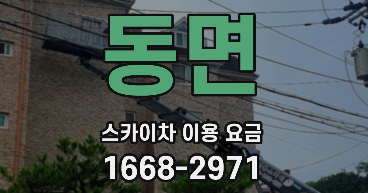 동면 스카이차 이용 요금