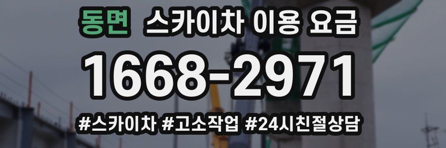동면 스카이차 이용 요금