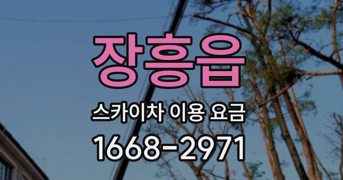 장흥읍 스카이차 이용 요금