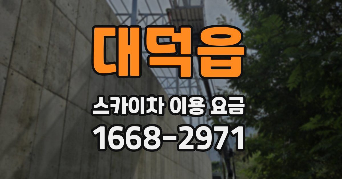 대덕읍 스카이차 이용 요금