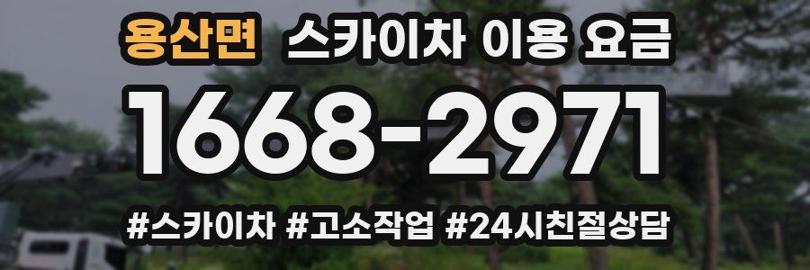 용산면 스카이차 이용 요금