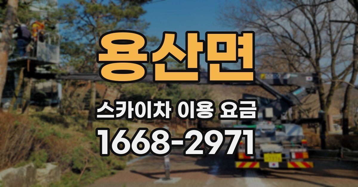 용산면 스카이차 이용 요금