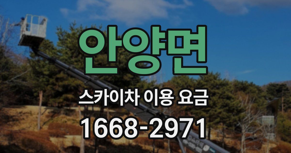 안양면 스카이차 이용 요금