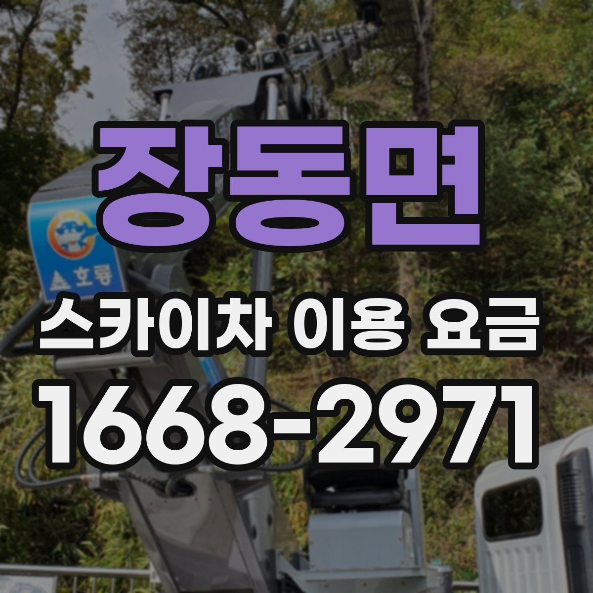장동면 스카이차 이용 요금