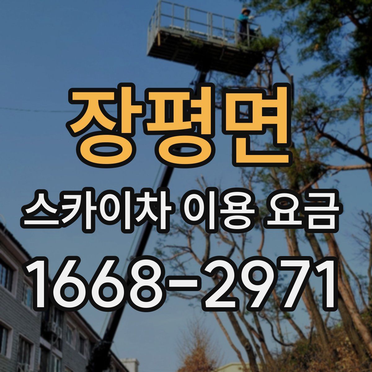 장평면 스카이차 이용 요금