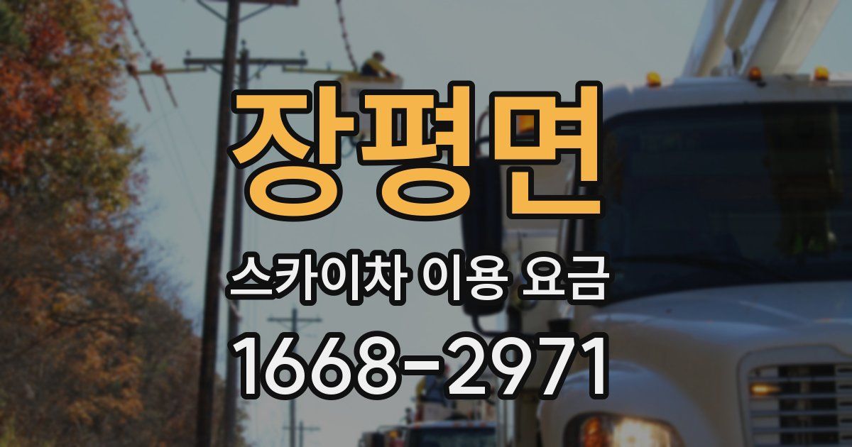 장평면 스카이차 이용 요금
