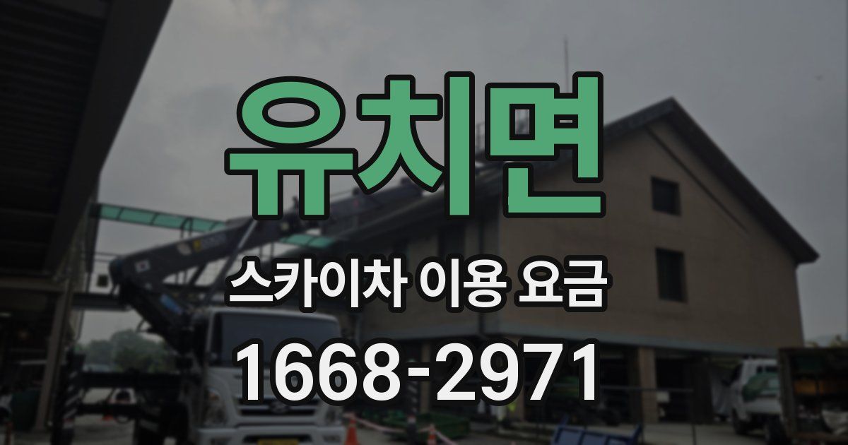 유치면 스카이차 이용 요금