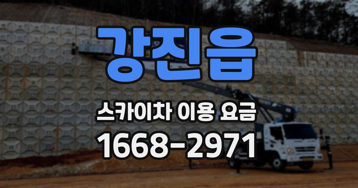 강진읍 스카이차 이용 요금
