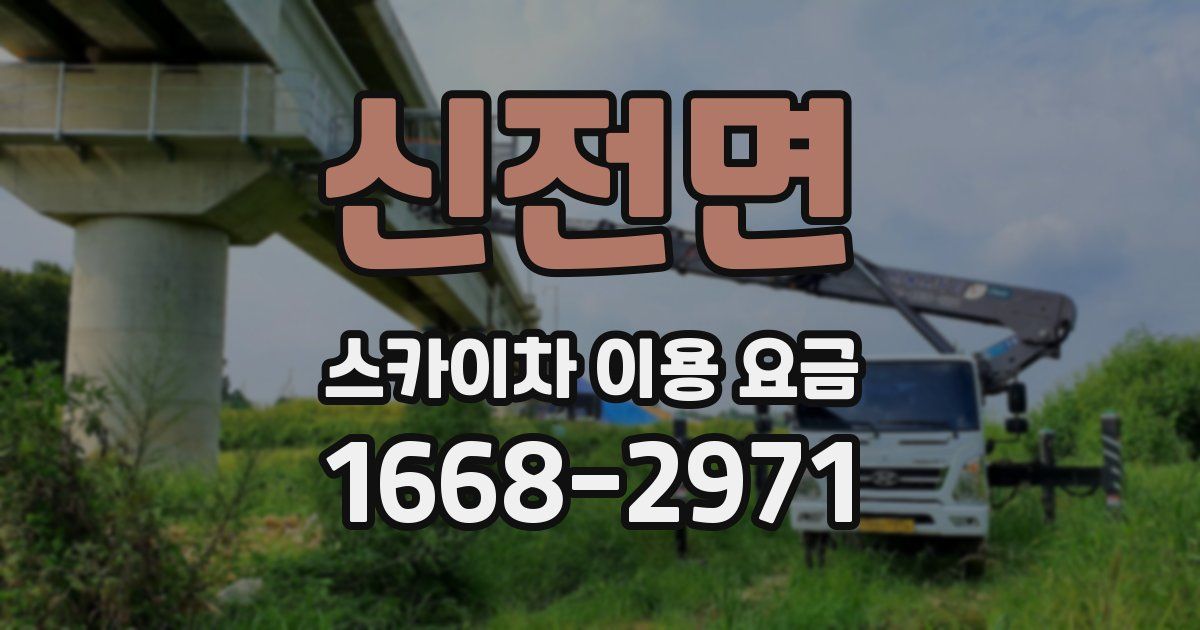 신전면 스카이차 이용 요금