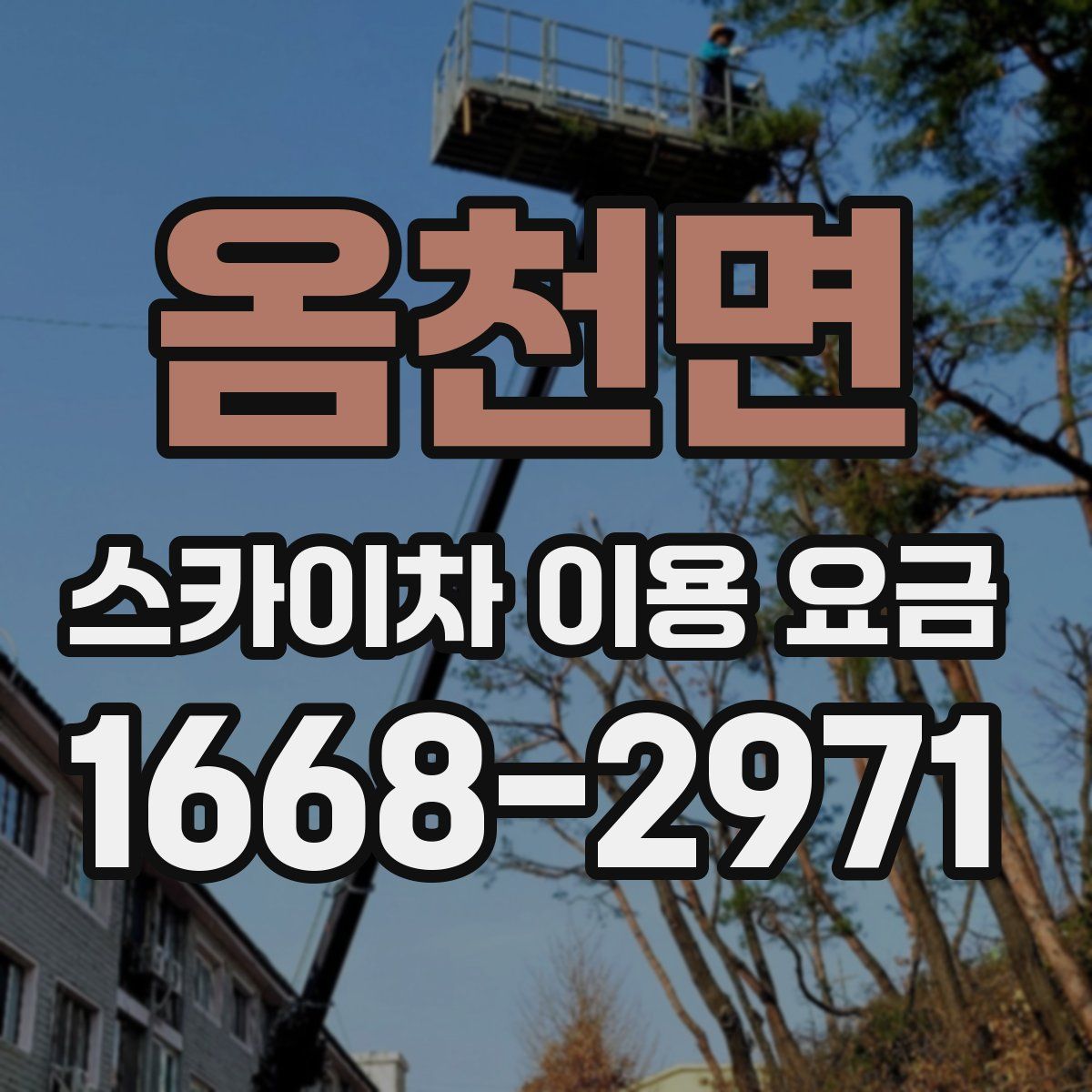 옴천면 스카이차 이용 요금