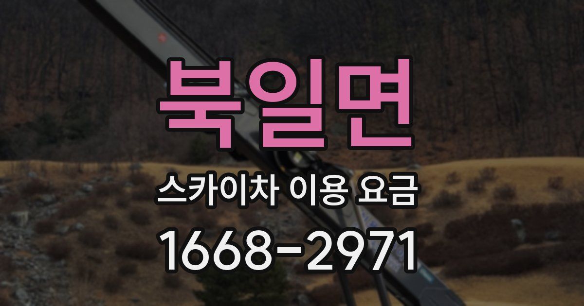 북일면 스카이차 이용 요금