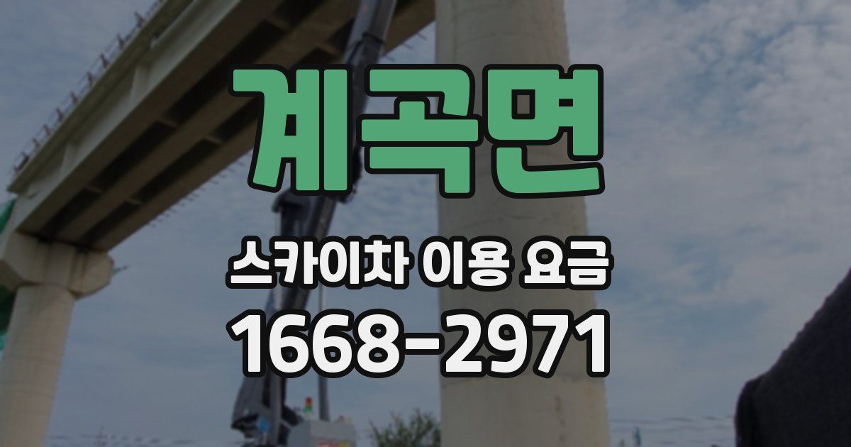 계곡면 스카이차 이용 요금