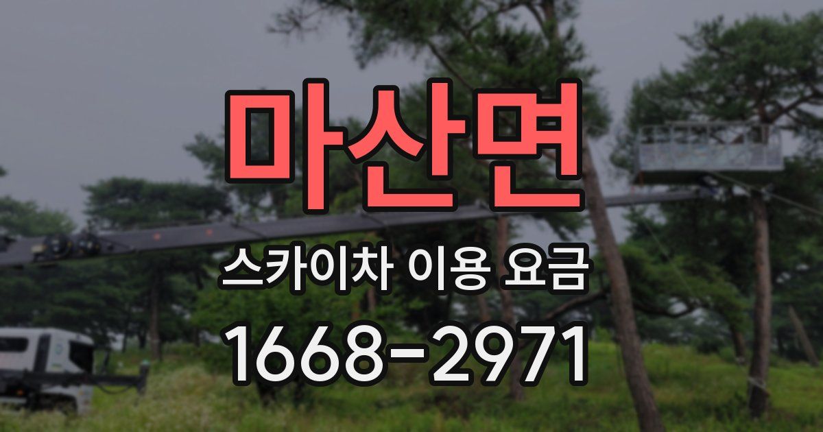 마산면 스카이차 이용 요금