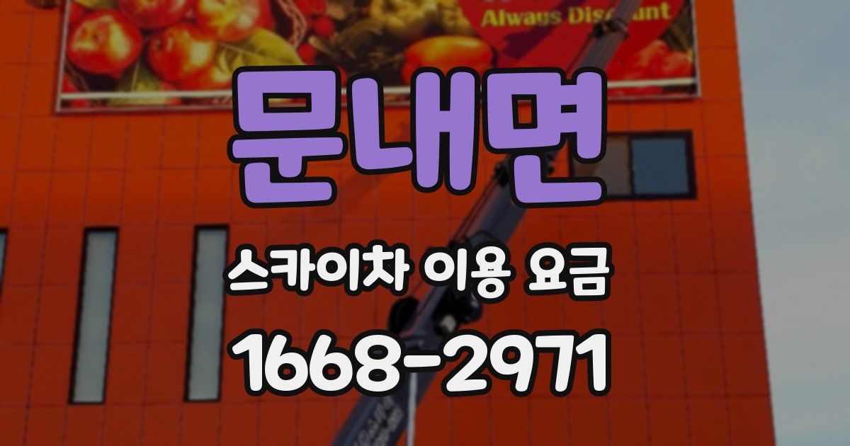 문내면 스카이차 이용 요금