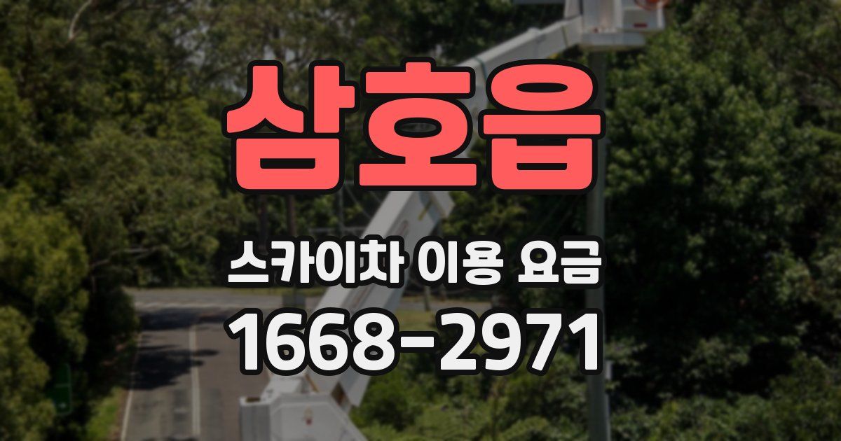 삼호읍 스카이차 이용 요금