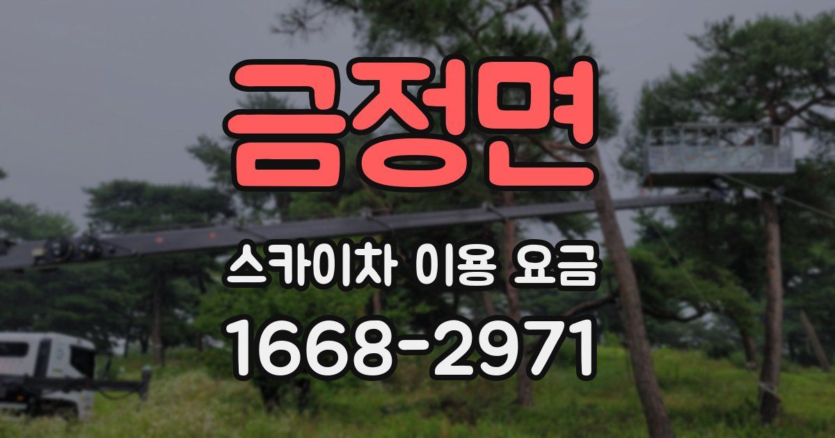 금정면 스카이차 이용 요금