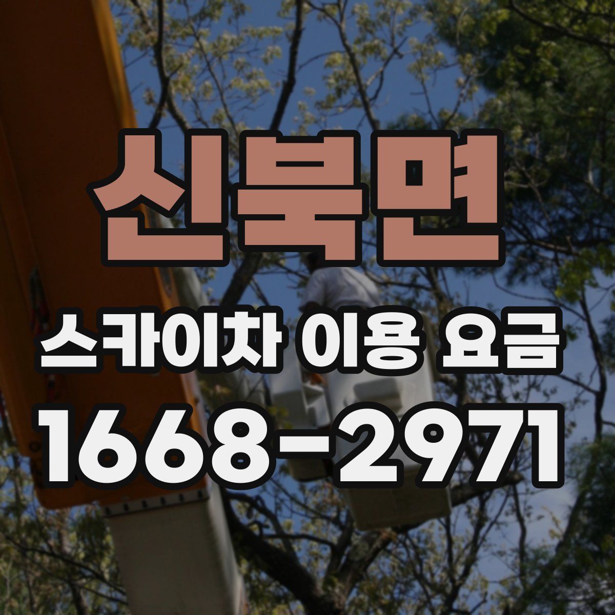 신북면 스카이차 이용 요금