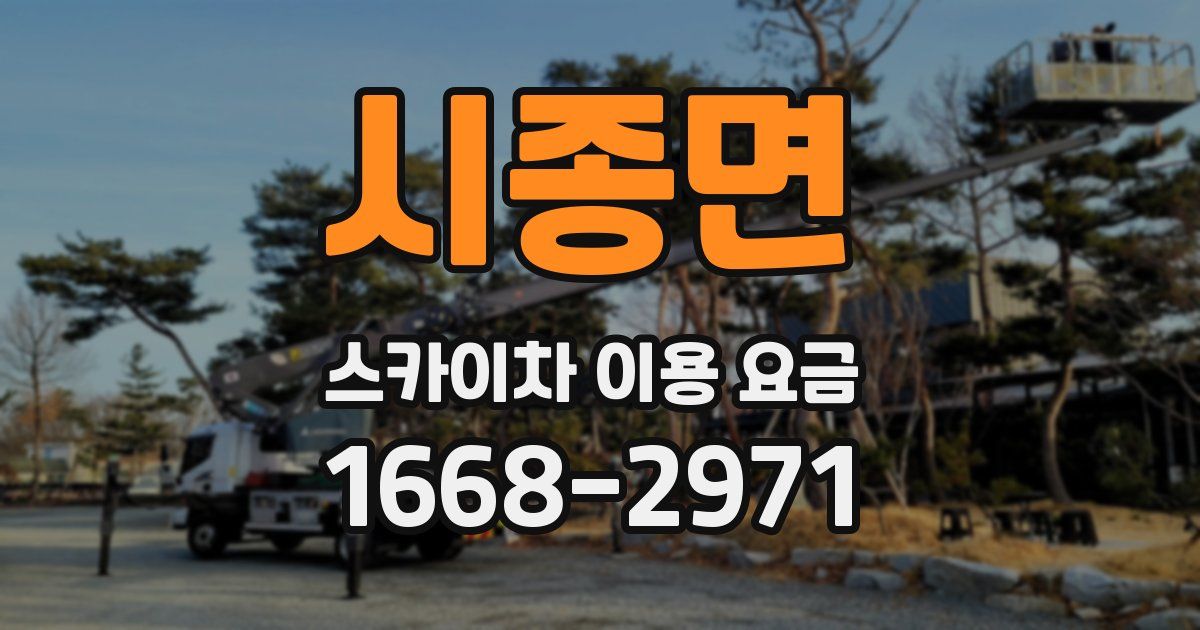 시종면 스카이차 이용 요금