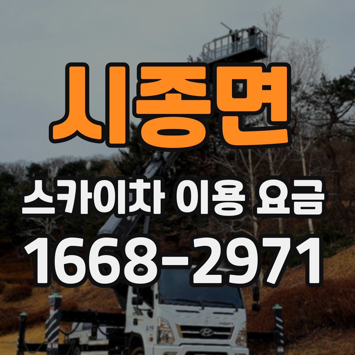 시종면 스카이차 이용 요금