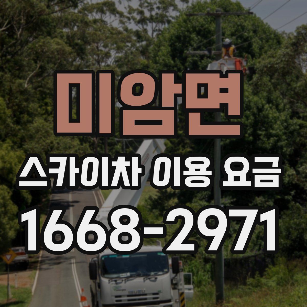 미암면 스카이차 이용 요금 문의 시 자주 묻는 핵심 질문