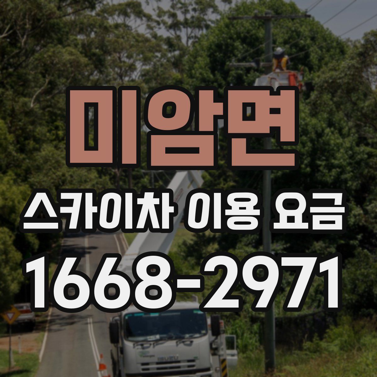 미암면 스카이차 이용 요금