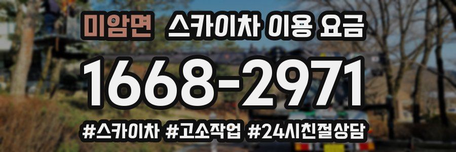 미암면 스카이차 이용 요금