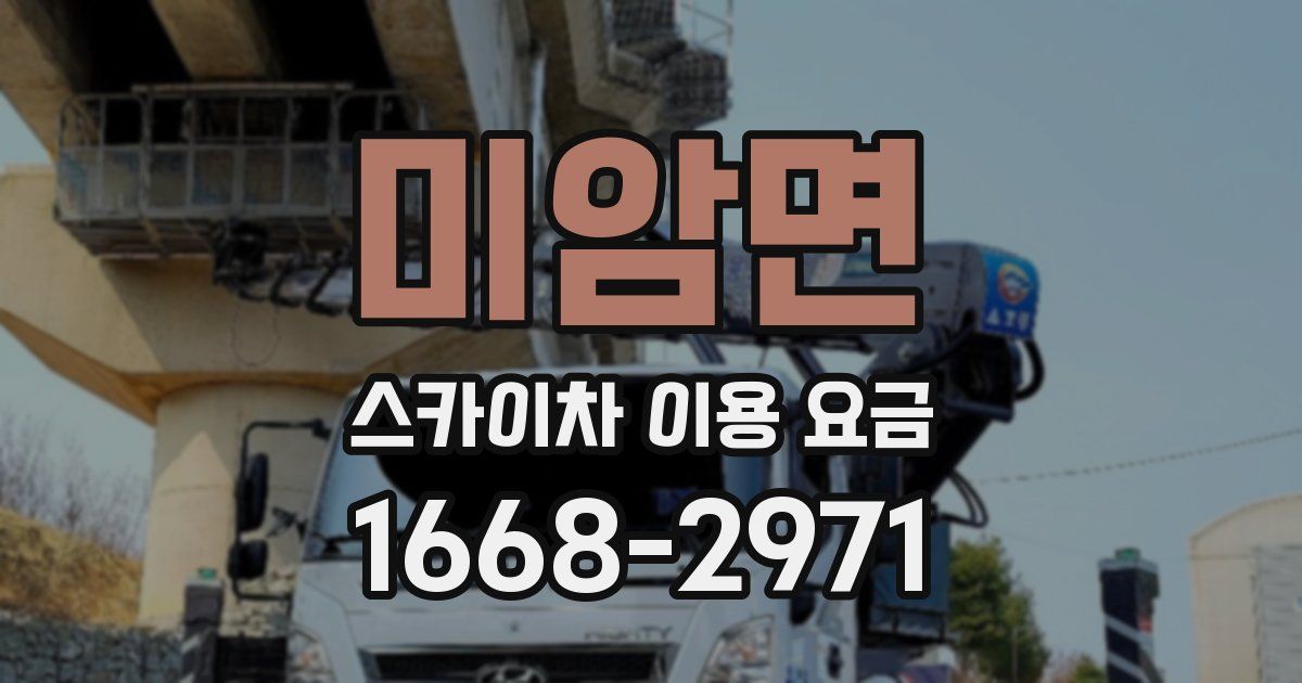 미암면 스카이차 이용 요금