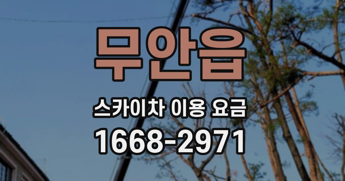 무안읍 스카이차 이용 요금