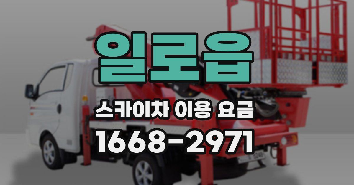 일로읍 스카이차 이용 요금