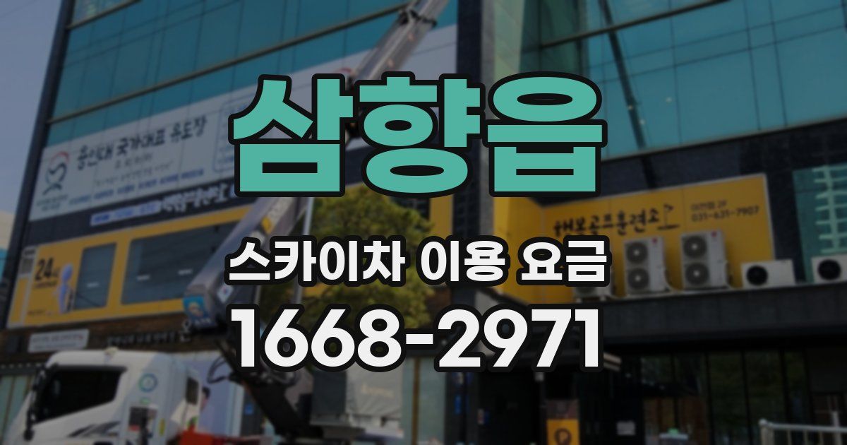 삼향읍 스카이차 이용 요금