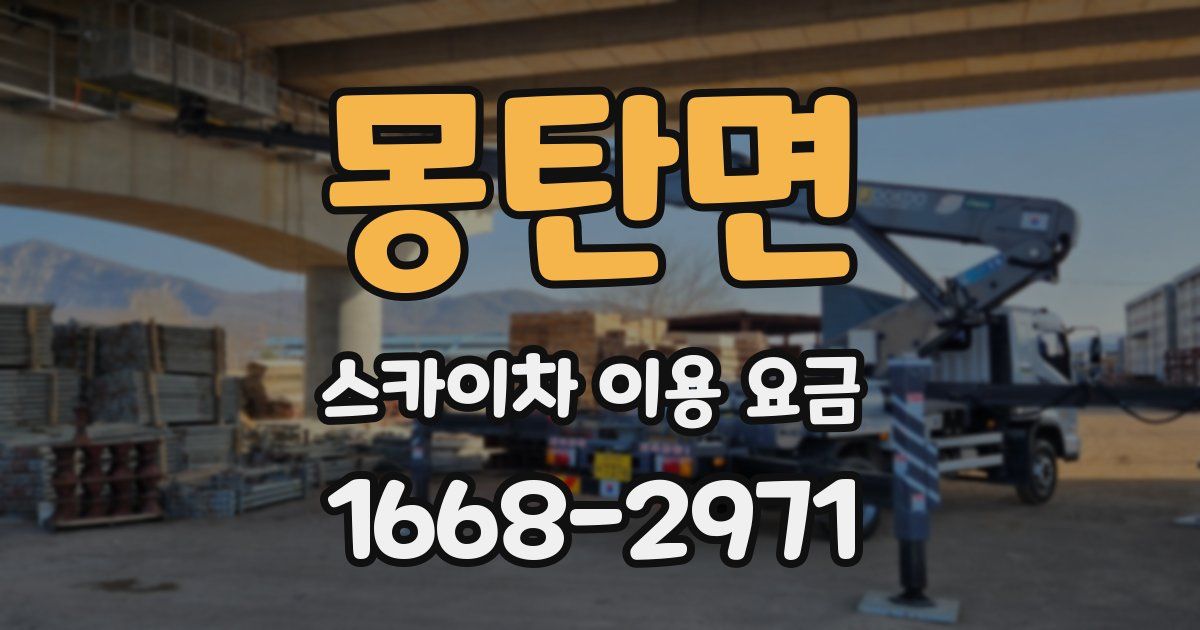 몽탄면 스카이차 이용 요금