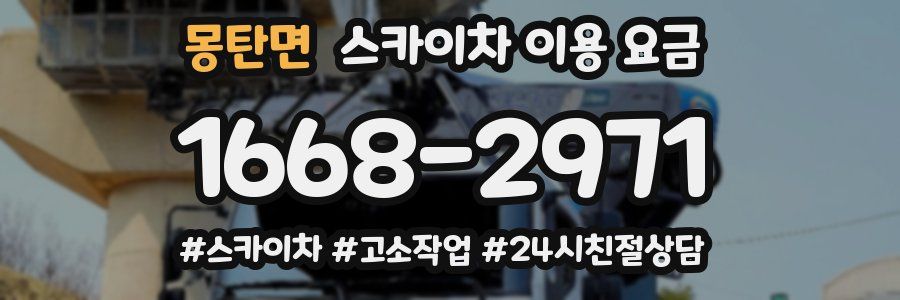 몽탄면 스카이차 이용 요금