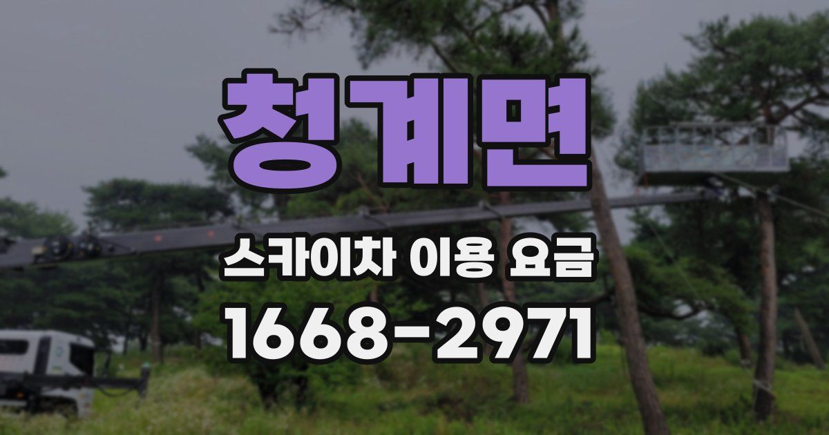 청계면 스카이차 이용 요금