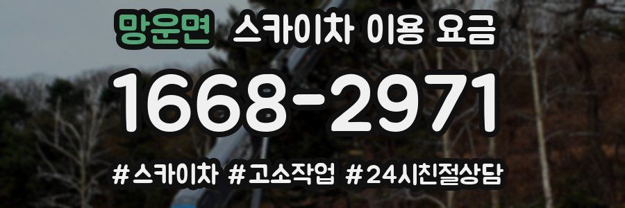 망운면 스카이차 이용 요금