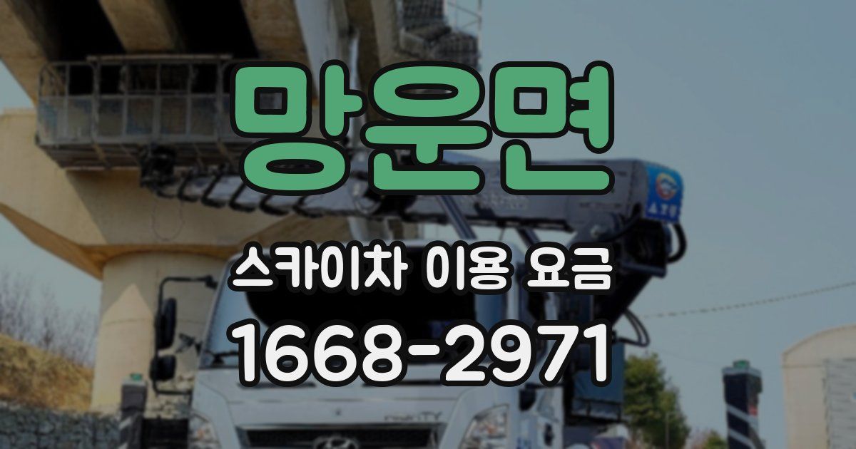 망운면 스카이차 이용 요금