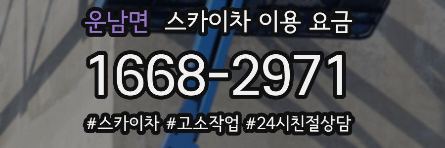 운남면 스카이차 이용 요금