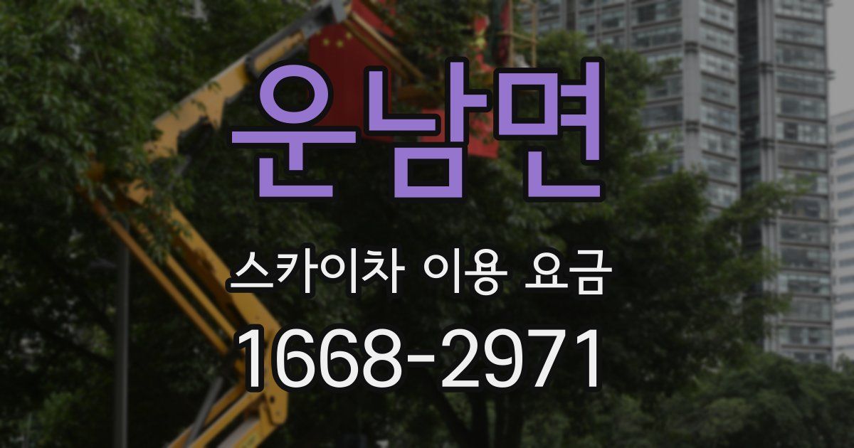 운남면 스카이차 이용 요금