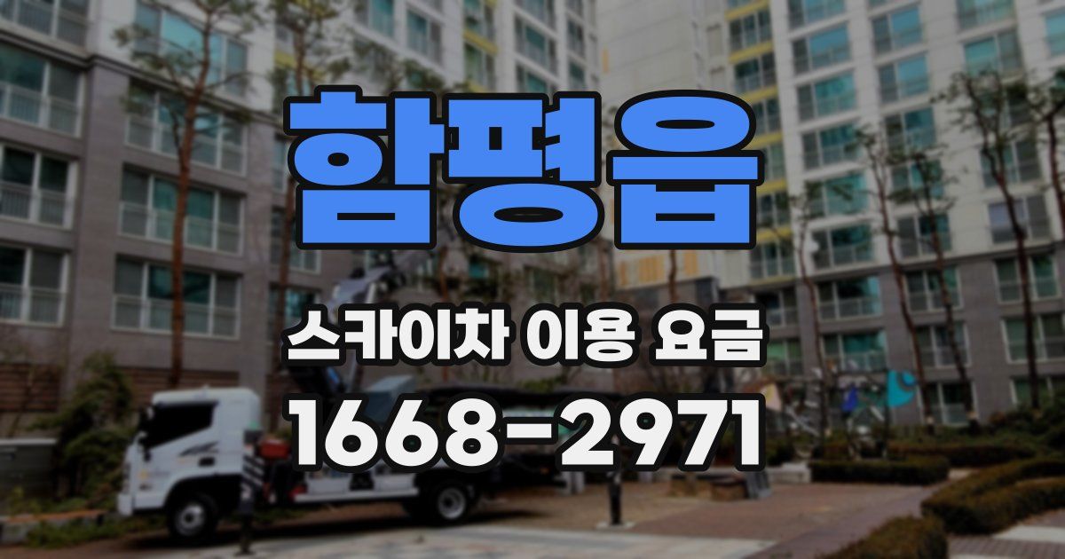 함평읍 스카이차 이용 요금