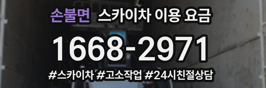 손불면 스카이차 이용 요금