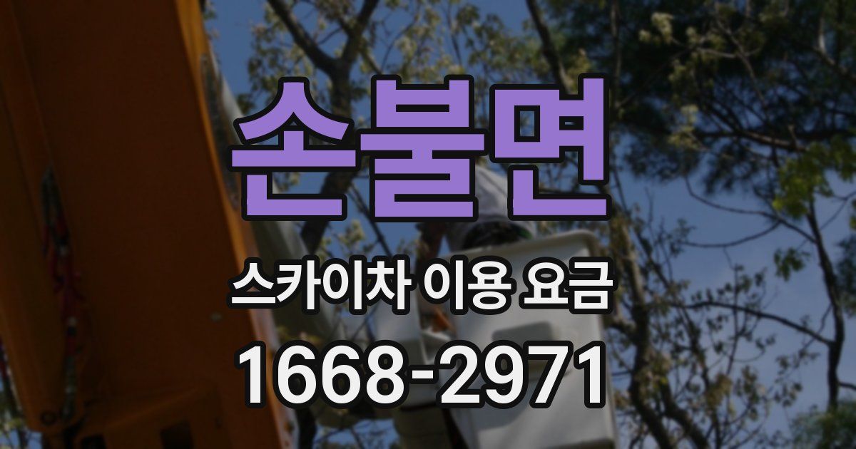 손불면 스카이차 이용 요금