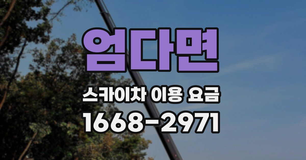 엄다면 스카이차 이용 요금