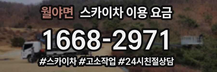 월야면 스카이차 이용 요금