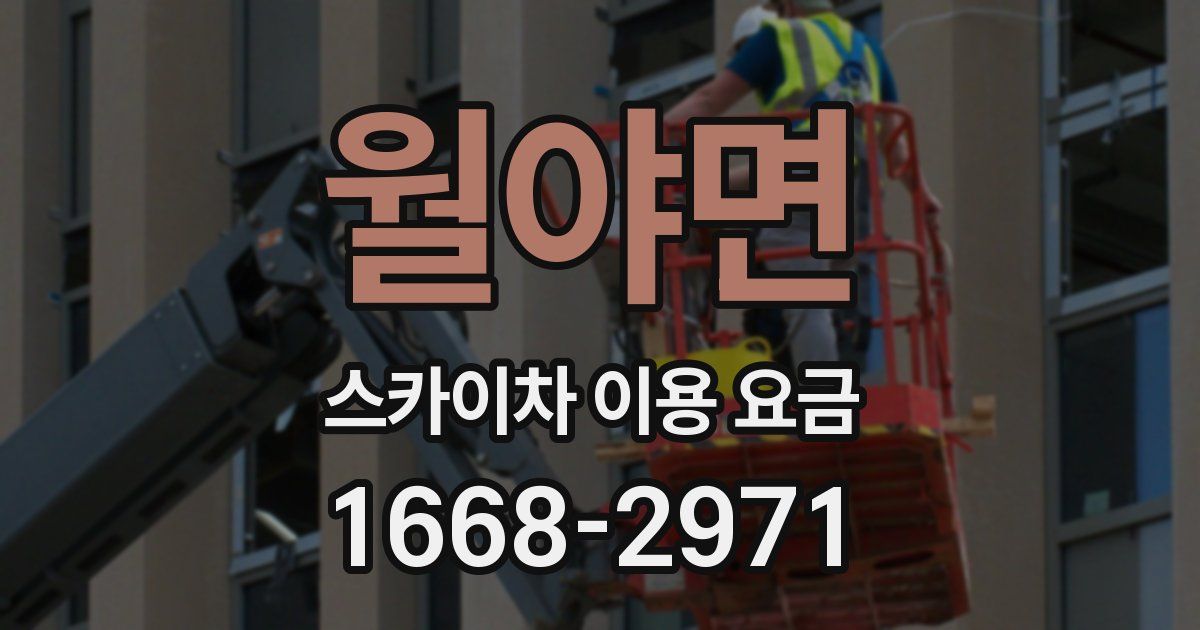월야면 스카이차 이용 요금