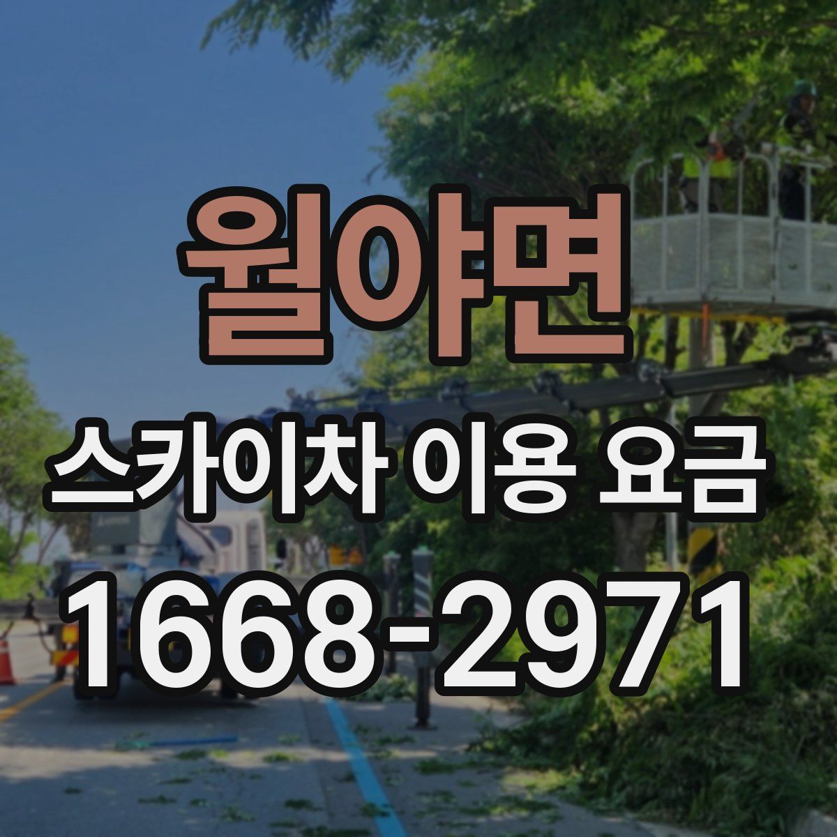 월야면 스카이차 이용 요금