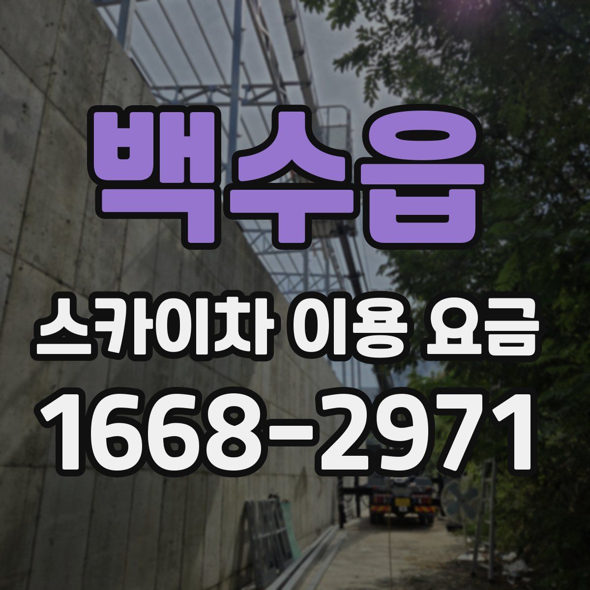 백수읍 스카이차 이용 요금