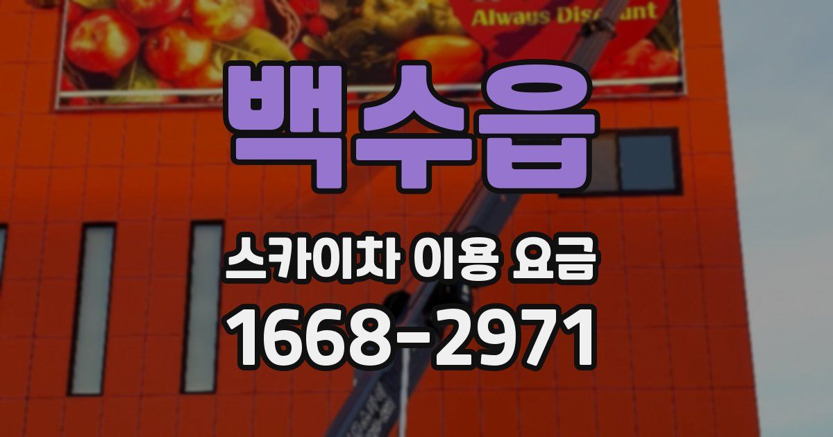 백수읍 스카이차 이용 요금