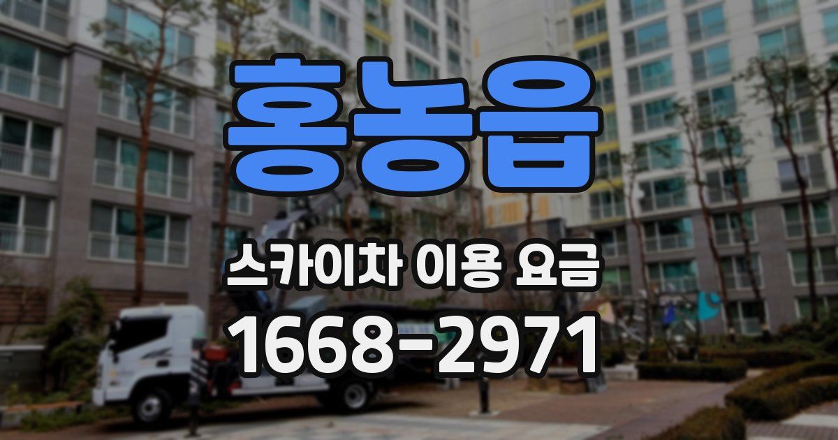 홍농읍 스카이차 이용 요금