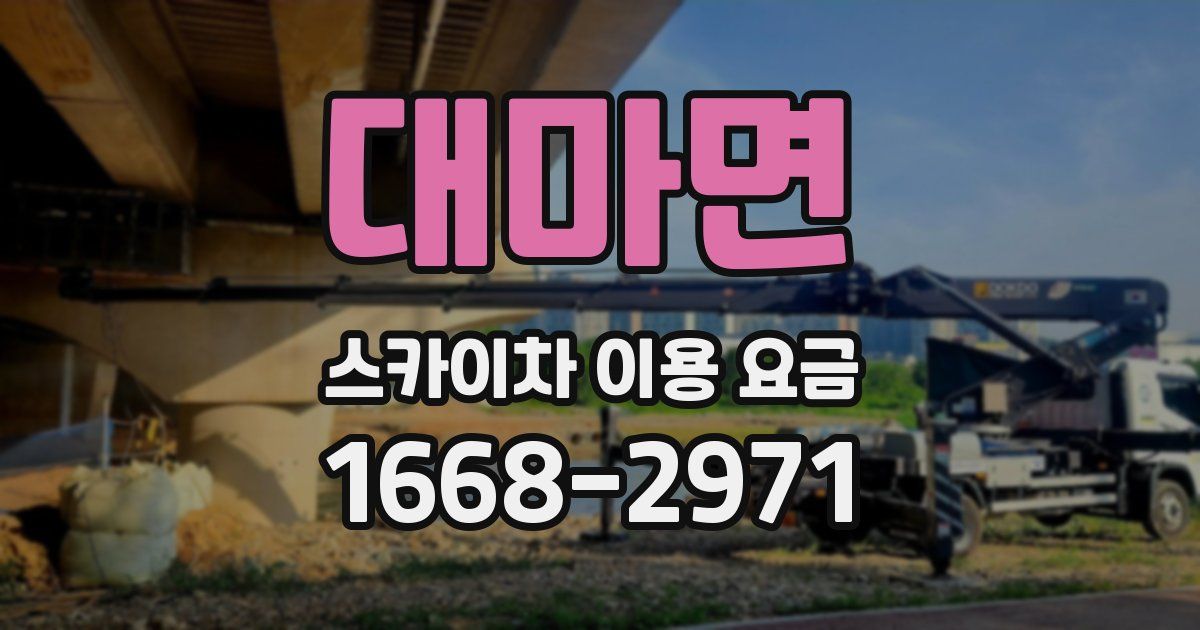 대마면 스카이차 이용 요금