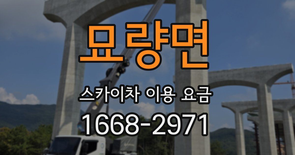 묘량면 스카이차 이용 요금