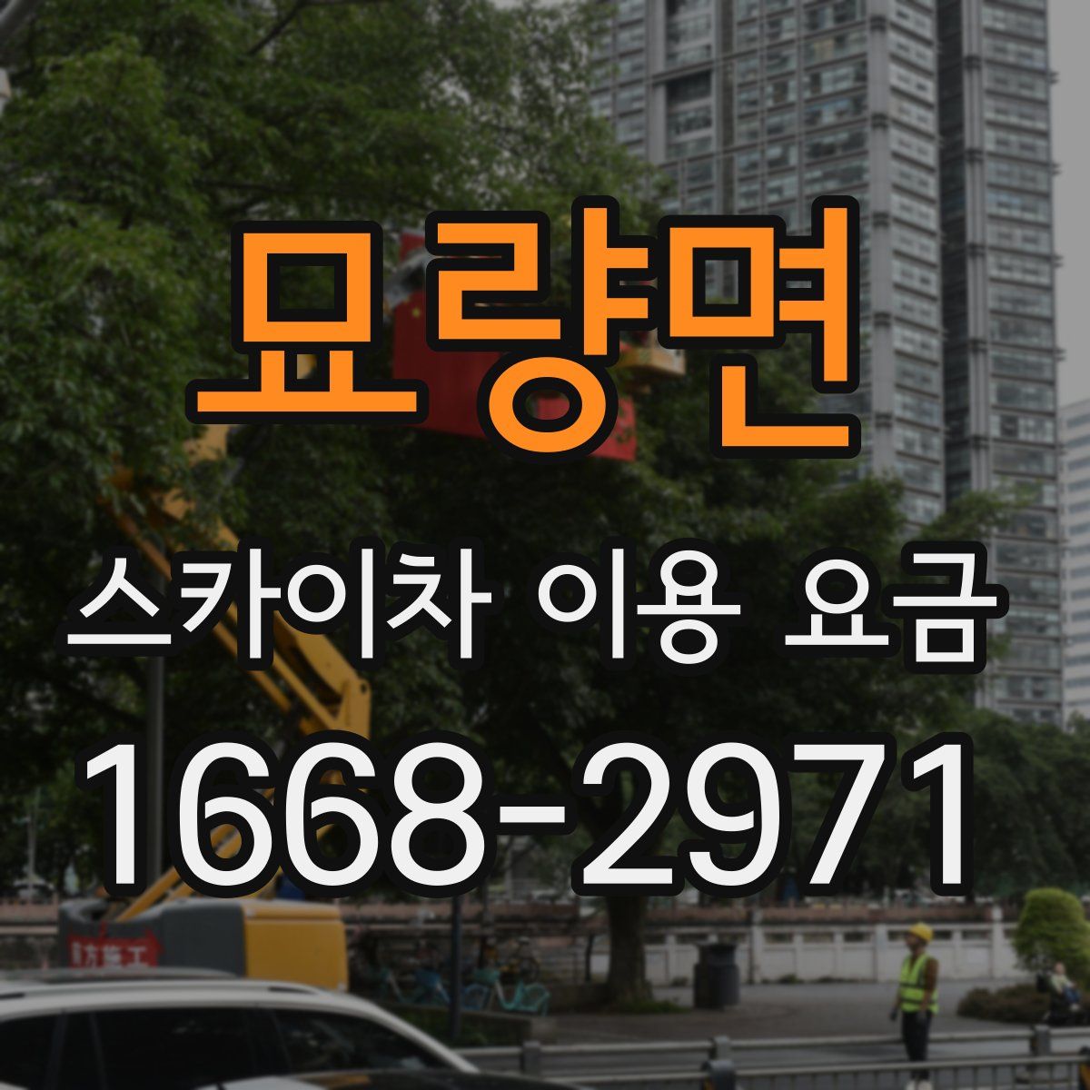 묘량면 스카이차 이용 요금